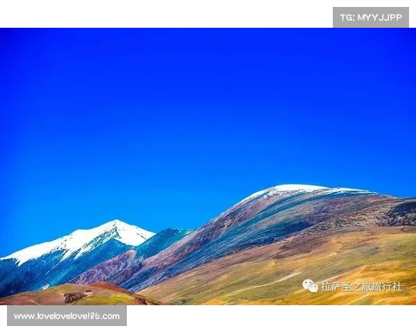 西藏中学板球队成立 高原训练基地突破海拔极限助力青少年成长