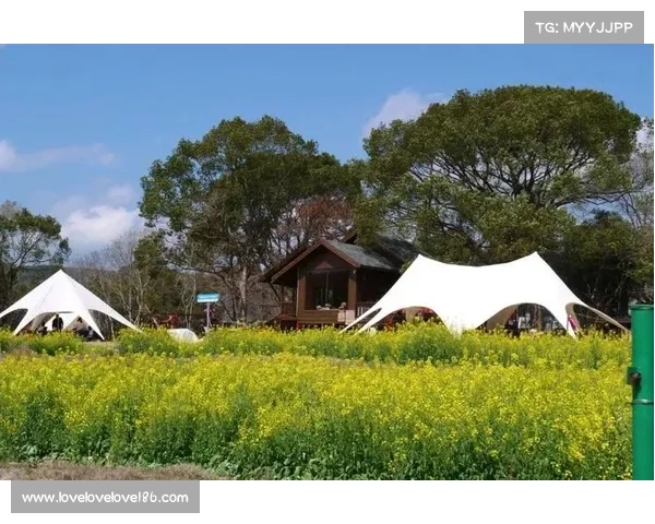 珠海共富小径串联体育赛场与田园风光 推动体育与农文旅深度融合模式获国家体总推广